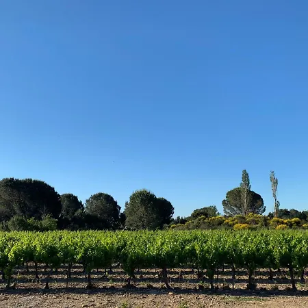 Holiday home Chez Lydia - Face Vignoble, Ideal Famille, Billard