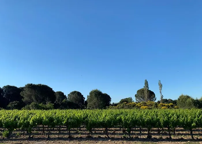 Сasa de vacaciones Chez Lydia - Face Vignoble, Idéal Famille, Billard